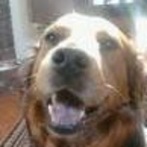 Meet your Posher, Barry